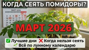 Когда сеять помидоры на рассаду в марте 2026, БЛАГОПРИЯТНЫЕ ДНИ по лунному календарю