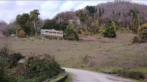 Дорога к даче Сталина в Новом Афоне, 05.01.2026.