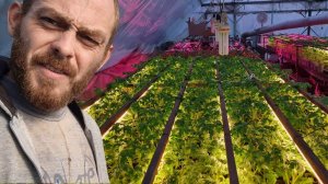 Делаем доп подсветку в рассаднике. Пикируем томат, сеем разную капусту.