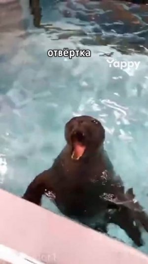 🤣🤣🤣🤣🤣🤣🤣🤣