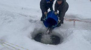 copy_78EDD92D-2EC3-4DF1-8C1D-FCD28238B0C7