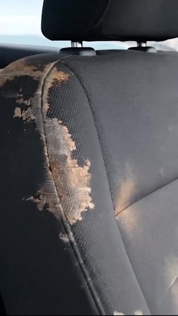 Преобразите интерьер вашего автомобиля с универсальными чехлами на сиденья из перфорированной эко... смотреть онлайн