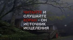 Махди Аш-Шишани
