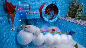 Побег из праздничного лабиринта с хомяком! 🐹❄️ Снежная полоса препятствий