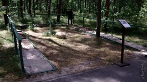 ПРОГУЛКИ ПО ПАРКУ И НЕ ТОЛЬКО. День четвёртый.