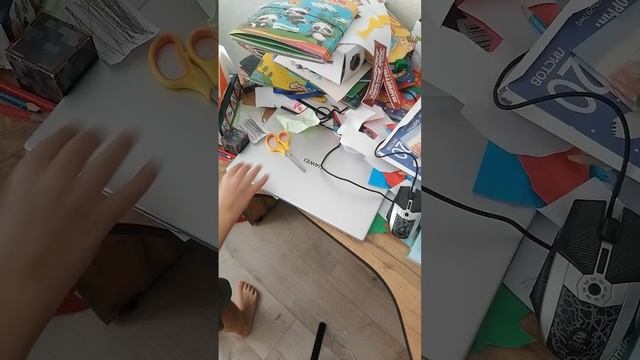 VID_20260301_135059.mp4