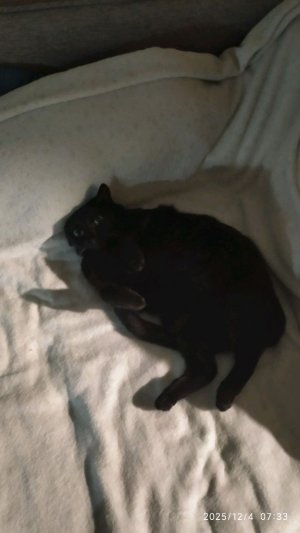 подпишитесь а я на вас