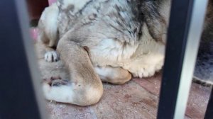 "Местное время. Воскресенье" (01.03.26)