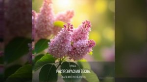 Ананьева Майя « Я б и бабочкой порхала «