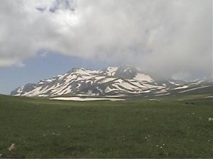 Оштен, или сон в июльскую ночь.