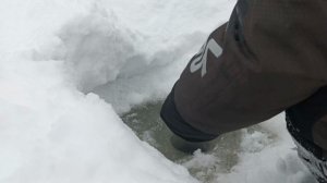 Рыбалка с элементами комедии