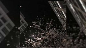 вайбовый плейлист 💤 __ speed up