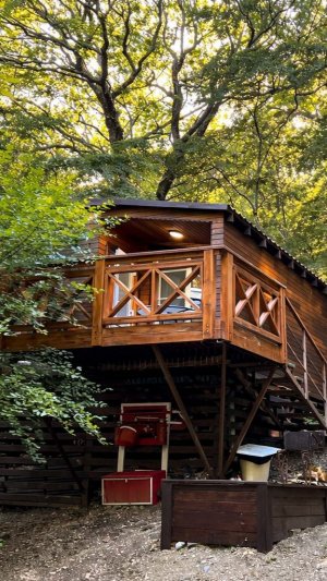 🏡 №435 и №438 хутор Бетта дорога на машине до домиков в горах - до моря 25 мин пешком