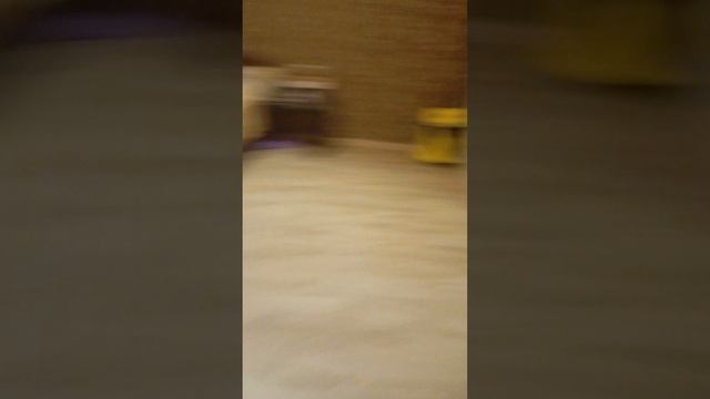 пять ночей с анонимусом