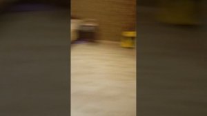 пять ночей с анонимусом