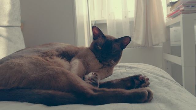 Марта выросла