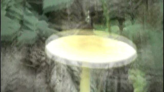 На озере Чистик в Пржевальском, Смоленск.