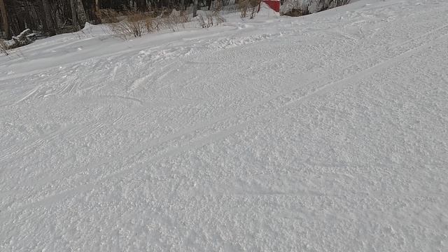 Хехцир 2026.02.28 11