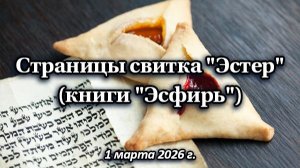 Страницы свитка "Эстер" (книги "Эсфирь")