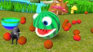 ПРИКЛЮЧЕНИЕ ПАМАНА