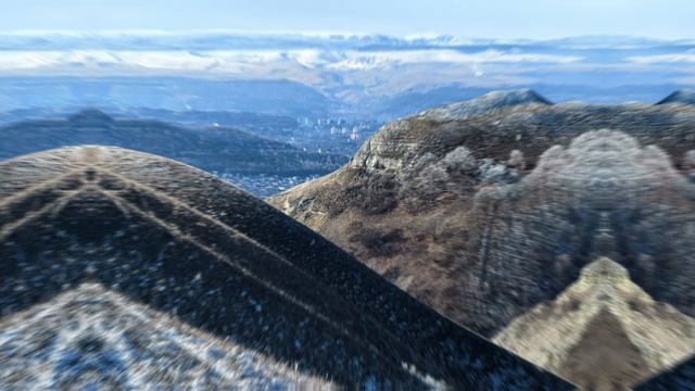 Petal_20260301_123835.mp4