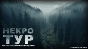НЕКРОТУР. 1 СЕРИЯ. Ужасы. Мистика. Страшные рассказы на ночь. Страшные аудиокниги на ночь