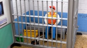 Полицейский недоразумение и Ловит Воришек