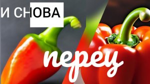Рассада перца. Важные тонкости. Секрет выбора перцев по форме