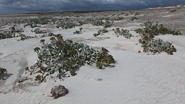 суровый климат островов