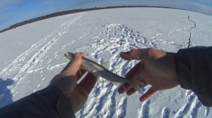 Море встало и пора за корюшкой!