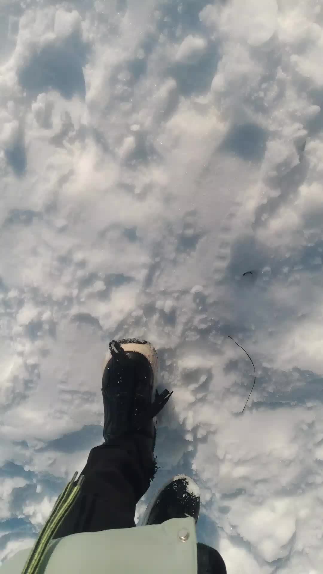 прогулка на свежем воздухе