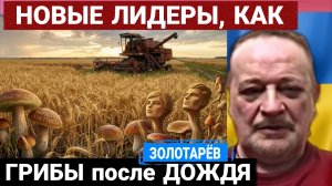 Пустота внутри нации. Золотарёв  01-03-2026