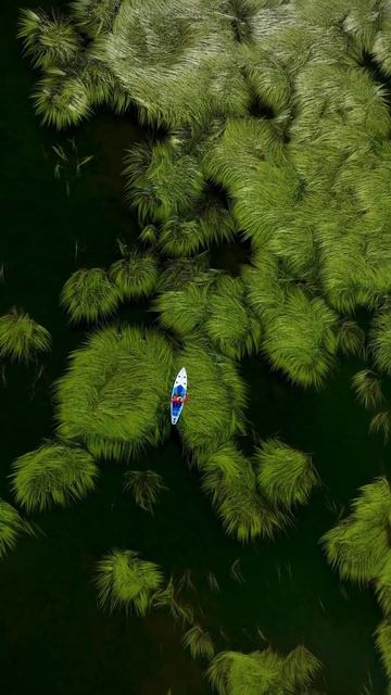 Малое Рахмановское озеро. Казахстан