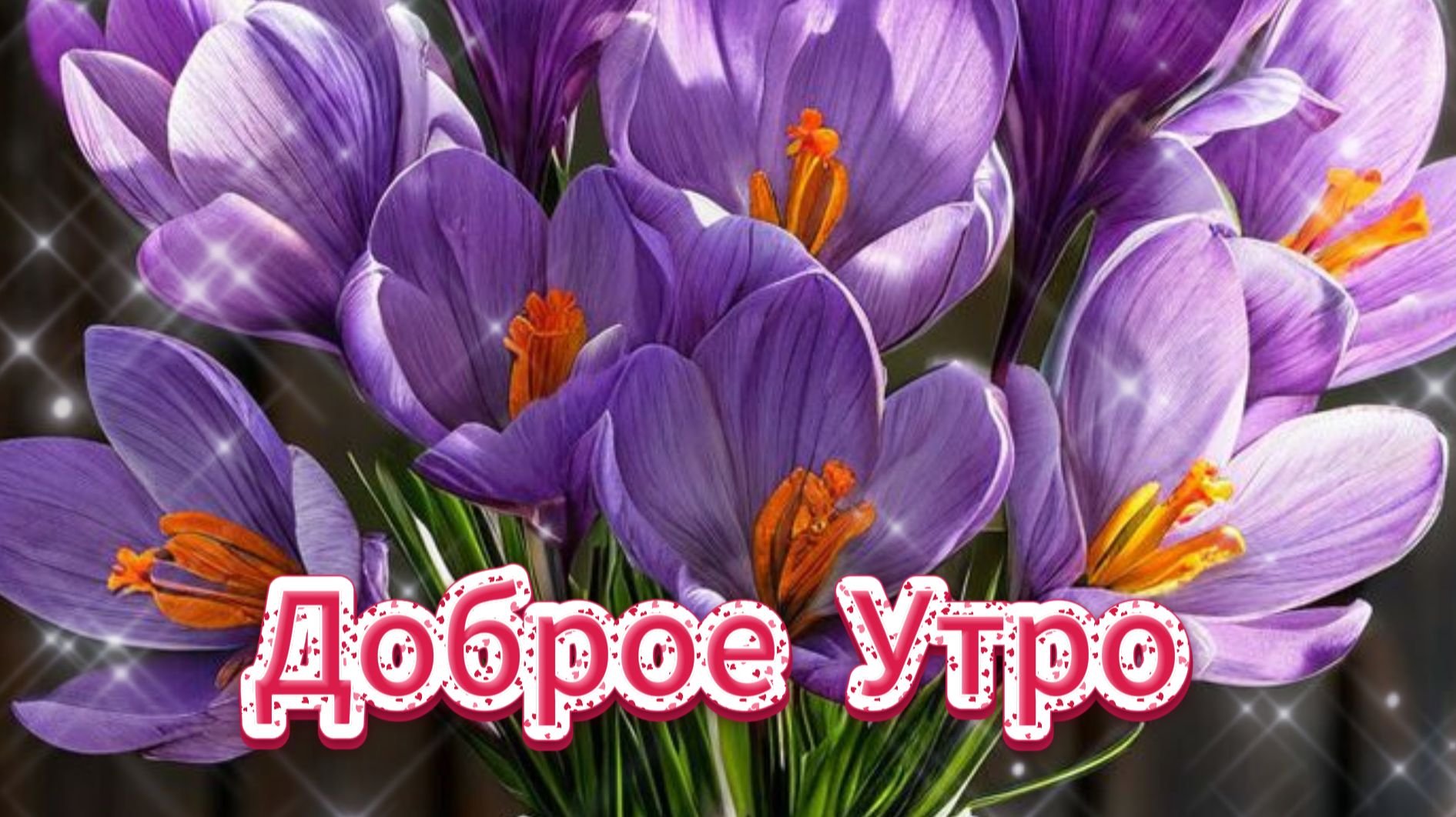 Доброе утро и красивые пожелания на день! ☀️ Зарядитесь позитивом!