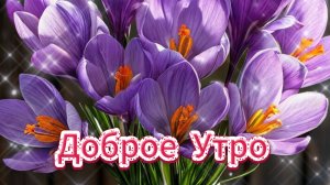 Доброе утро и красивые пожелания на день! ☀️ Зарядитесь позитивом!