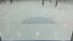 Триумф 2 ворота 01.03