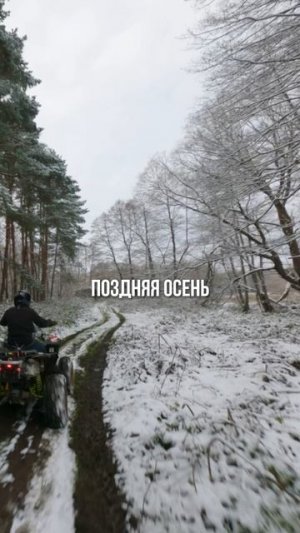 Квадроцикл PROMAX RENEGADE 300 LONG WINCH PRO🔥