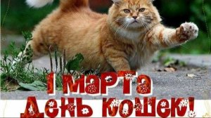 1 МАРТА - МЕЖДУНАРОДНЫЙ ДЕНЬ КОШЕК. ПОЗДРАВЛЕНИЕ ХОЗЯЕВАМ ПУШИСТИКОВ И ИХ КОШЕЧКАМ !