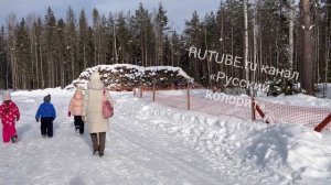 Питомник ездовых собак в Карелии