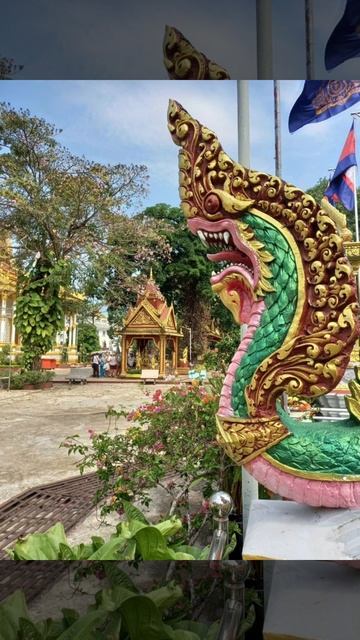 Добрый день! Заморская красота!