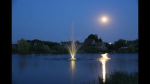 Плавающий фонтан "Fleur de lis"