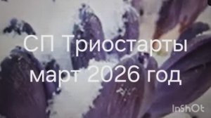 СП ТРИОСТАРТЫ.март 2026год.Вступление
