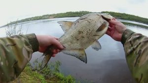 ЛЕЩ НА ПЕНОПЛАСТ! ДОНКИ РУЛЯТ! Рыбалка на верхней Волге.