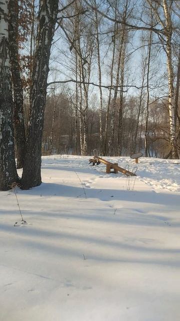 мегаполис парк и тишина