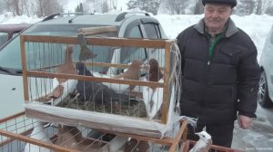 Ярмарка  голубей Рязань 1 марта  2026 года фильм 1