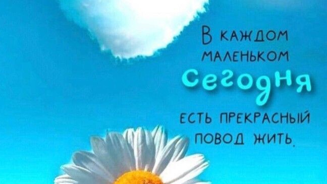 Да! или нет?🤔