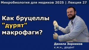 Патогенные бруцеллы