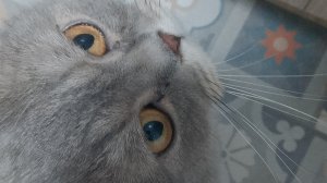 спалила лицо моя первая трансляция 😁😢