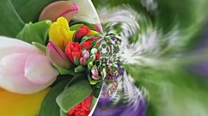 Весеннее Поздравление С Днём Рождения 3 от Киностудии Мудрого Кота Тимофея!