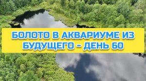 БОЛОТО В АКВАРИУМЕ ИЗ БУДУЩЕГО - ДЕНЬ 60